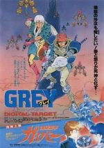 Grey Digital Target