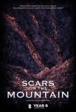 Scars on the Mountain