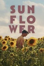 Sunflower-hd