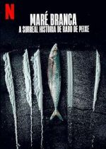 Turn of the Tide: The Surreal Story of Rabo de Peixe