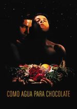 Like Water for Chocolate