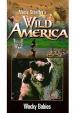 America: Wild & Wacky